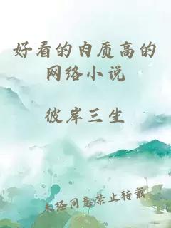 好看的肉質(zhì)高的網(wǎng)絡(luò)小說