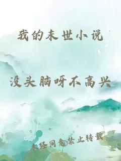 我的末世小說(shuō)