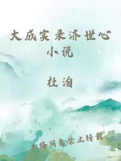 大成實(shí)錄濟(jì)世心小說