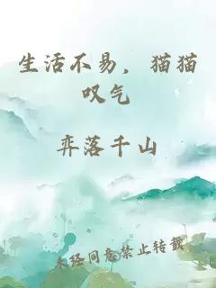 生活不易，貓貓嘆氣