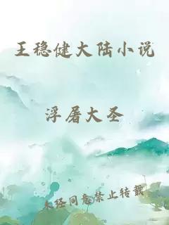 王穩(wěn)健大陸小說