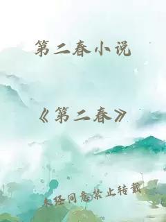 第二春小說