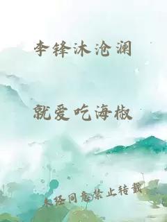 李鋒沐滄瀾