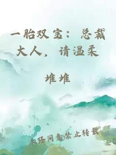 一胎雙寶：總裁大人，請(qǐng)溫柔