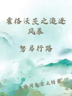 霍格沃茨之追逐風(fēng)暴