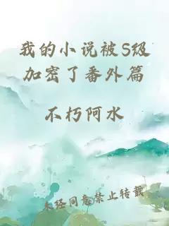 我的小說被S級加密了番外篇